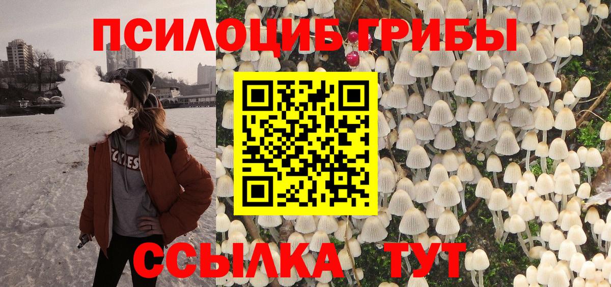 Псилоцибиновые грибы Psilocybine cubensis Якутск