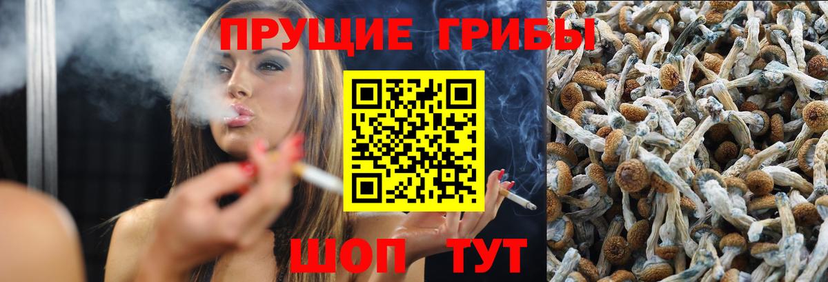 Псилоцибиновые грибы Psilocybine cubensis  Вход с VPN  купить закладку  Якутск 